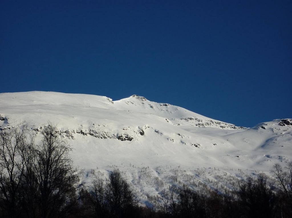 Blåbærtinden 1442moh